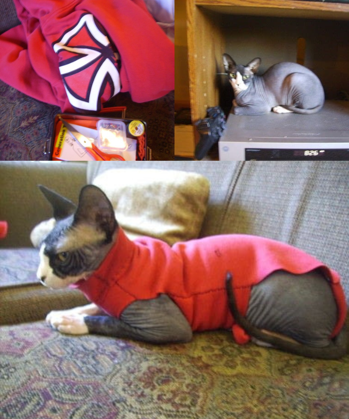 Roupas Para Gatos Sphynx - Suéter De Veludo - T'CHAQUE - Conforto E Aquecimento